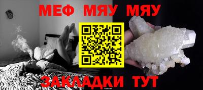 стафф Кингисепп