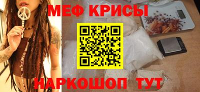 стафф Кингисепп