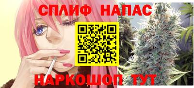 стафф Кингисепп
