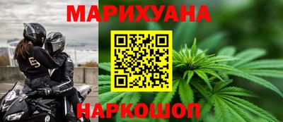 стафф Кингисепп