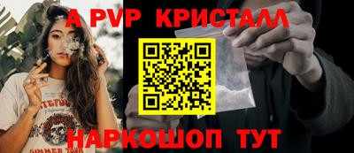 стафф Кингисепп