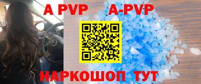 стафф Кингисепп