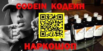 стафф Кингисепп